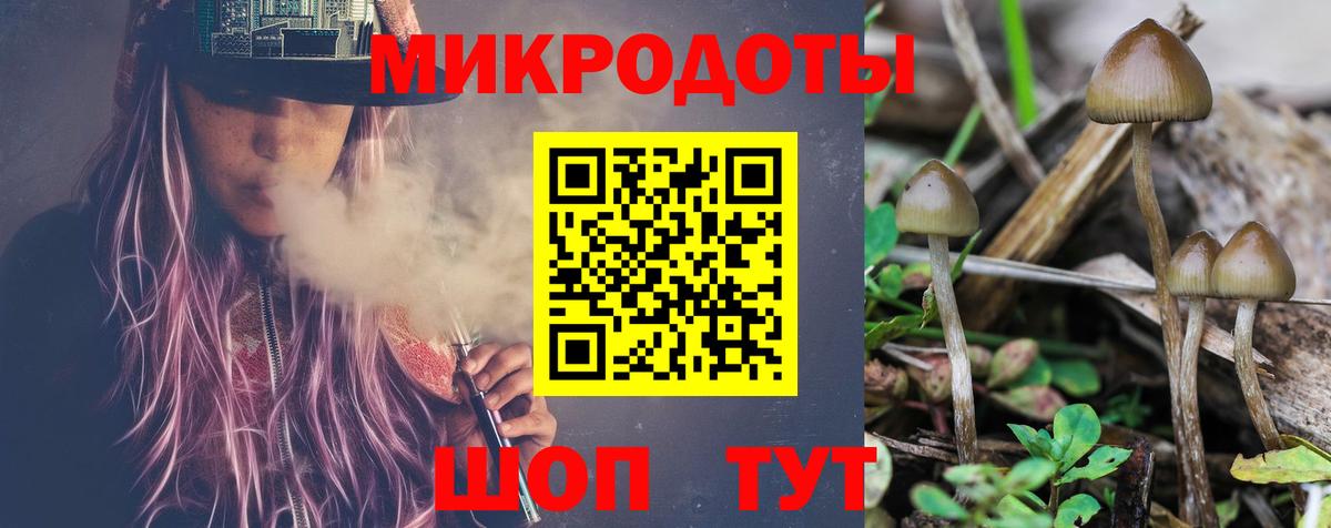 Галлюциногенные грибы Magic Shrooms  Вход с VPN  Тара 